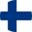 Flag of FIN