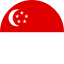 Flag of SIN
